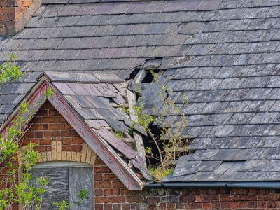 Professional emergency water extraction services services in Peoria - water damage restoration service